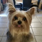 Shannon Schuster Cooper - @schustercoopershannon - Instagram