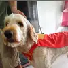 Cooper Carder - @shannon.spragues - TikTok
