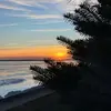 Shannon Sprague - @shannonsprague - TikTok