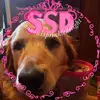 Shannon - @shannonssprinkledelight - TikTok