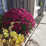 shannon stanfill - @shannonstanfill - Instagram
