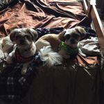 Shannon Staples - @staples.shannon - Instagram