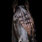 Shannon Steenkamp - @shannon.steenkamp2010 - Instagram