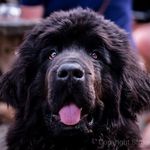 Shannon Stegeman - @stegemanshannon - Instagram