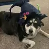 shannonstjohn873 - @shannonstjohn873 - TikTok