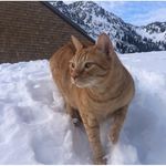 Shannon Asche Stocker - @biondona946 - Instagram