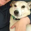 Shannon Strang - @shannonstrang751 - TikTok