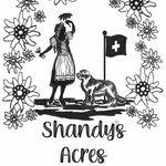 Shannon Stricker - @shandysacres - Instagram