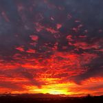 Shannon Swanson - @journey.of.healing2022 - Instagram