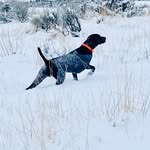 Shannon Swanson - @idaho_life_outdoors - Instagram