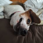 Shannon Tabbert - Facebook