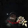 shannontemplin13 - @shannontemplin13 - TikTok