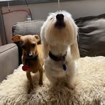 Shannon Thacker - Facebook