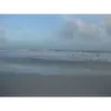 Shannon Duhe Traylor - @shannon.duhe.tray - TikTok