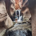 Shannon Tripp - @trippshannon - Instagram