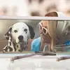 Tucker + Shannon - @tuckerandshannon - TikTok