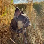 Shannon Tully South - @shannonmsouth - Instagram