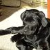 Shannon Emil - Facebook