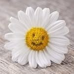 Shannon Lee Walters - @shannon.walters - Instagram