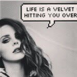 shannon weber - @shannonweber730 - Instagram