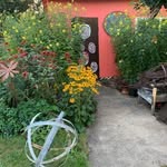 Shannon Weber - @shannonweber1 - Instagram
