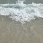 Shannon Wetherbee - @dasweebee - Instagram