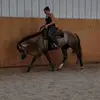 Shannon Wibbert - @shannonwibbert - TikTok