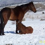 Shannon Windle - Facebook