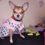 Shannon Witkowski - Facebook