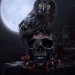 Shannon Witkowski - Facebook
