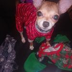 Shannon Witkowski - @shannon.witkowski.5 - Instagram