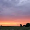 Shannon Witmer - @shannon.witmer - TikTok