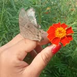s karhale - @shanta.karhale - Instagram
