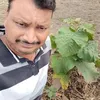 Piyush - @shanta.james - TikTok