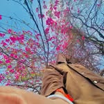 Shantanu Gupta - @shantanu_gupta_09_________ - Instagram