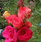 Shanti Kumar - Facebook