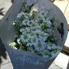 shara - @shara.thompson33 - TikTok