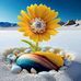 Sharaf Khan - Facebook