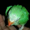 Sharda Parmar - @shardaparmar16 - TikTok