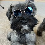 Sharee Miller Fishel - @shareeshar9 - Instagram