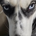Sharen Smith - @luvv.sharen - Instagram