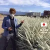 sharfuddinahmedshaown - @sharfuddinahmedshaown - TikTok