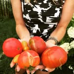 Sheri Armstrong - @thetomatoproject - Instagram