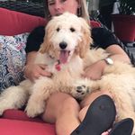 Shari Baumann - @baumann_shari - Instagram
