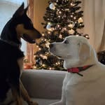 Shari Bergert - @sharibergert - Instagram