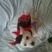 Shari Berry - Facebook