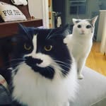 Sheri Birch - @sheri_from_barrie - Instagram