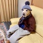 Sharib - @sharibishopeless - Instagram