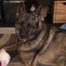Shari Brocklebank Boyle - Facebook