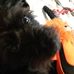 Shari Briggs - Facebook